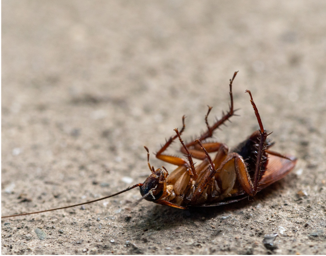 Untitled (360 x 385 px) (27)